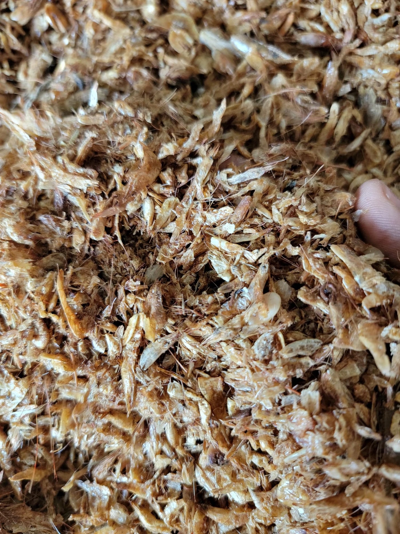 Dry Crayfish (Blended)