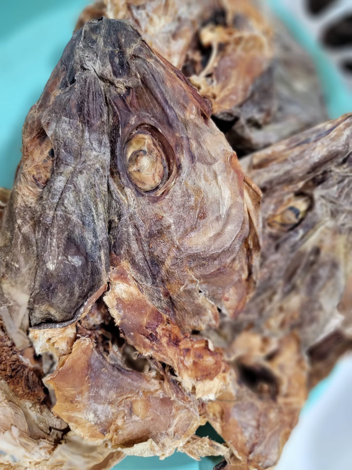 Large stockfish head